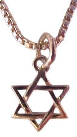 Silver Star of David Necklace