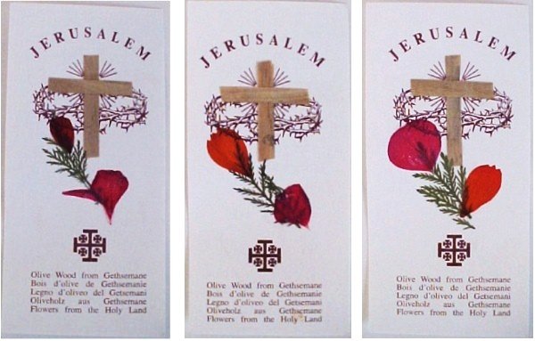 Jerusalem Dried Flowers Cards /100 Pack