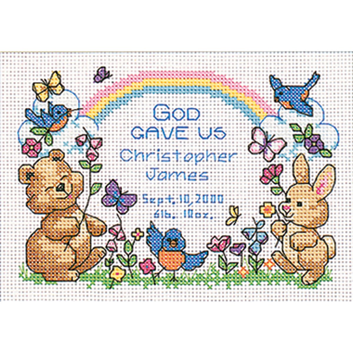 God's Babies Birth Record Mini Counted Cross Stitch Kit-7""X5"" 14 Count